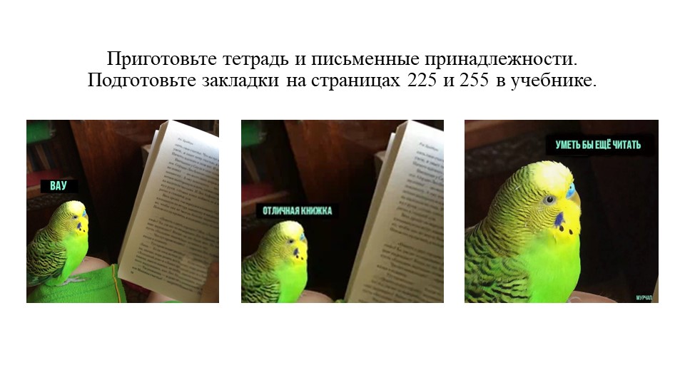 Обобщающее слово 8 класс - Учебники, Презентации и Подготовка к Экзаменам для Школьников на Klass-Uchebnik.com