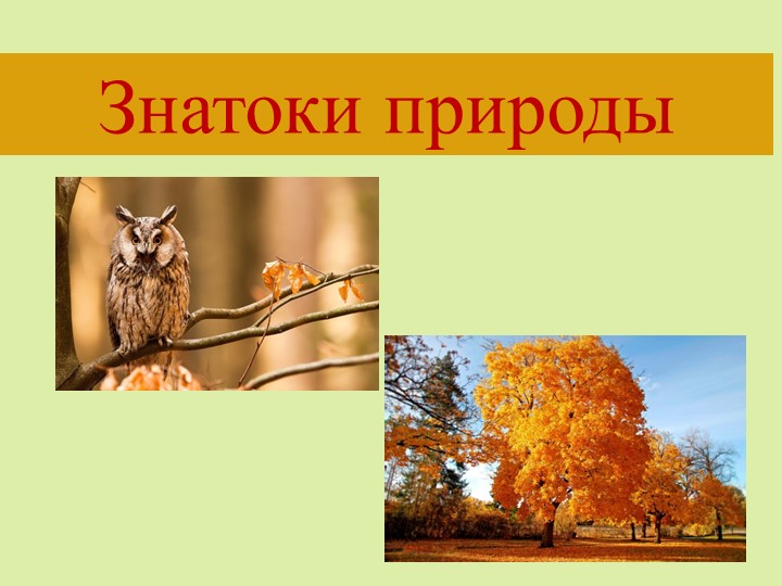 Презентация "Знатоки природы" по окружающему миру - Учебники, Презентации и Подготовка к Экзаменам для Школьников на Klass-Uchebnik.com