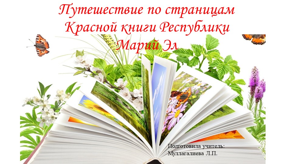 Презентация к классному часу на тему "Путешествие по страницам Красной книги Марий Эл" - Учебники, Презентации и Подготовка к Экзаменам для Школьников на Klass-Uchebnik.com