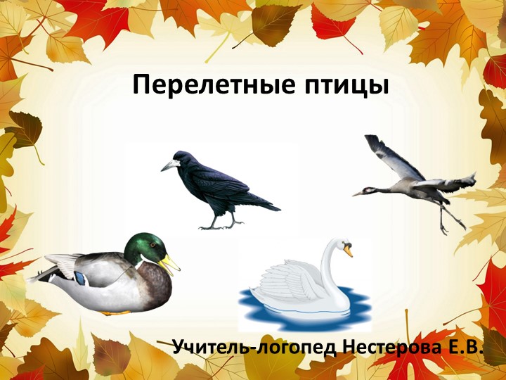 Занятие на тему: "Перелетные птицы" для детей подготовительной группы компенсирующей направленности - Учебники, Презентации и Подготовка к Экзаменам для Школьников на Klass-Uchebnik.com