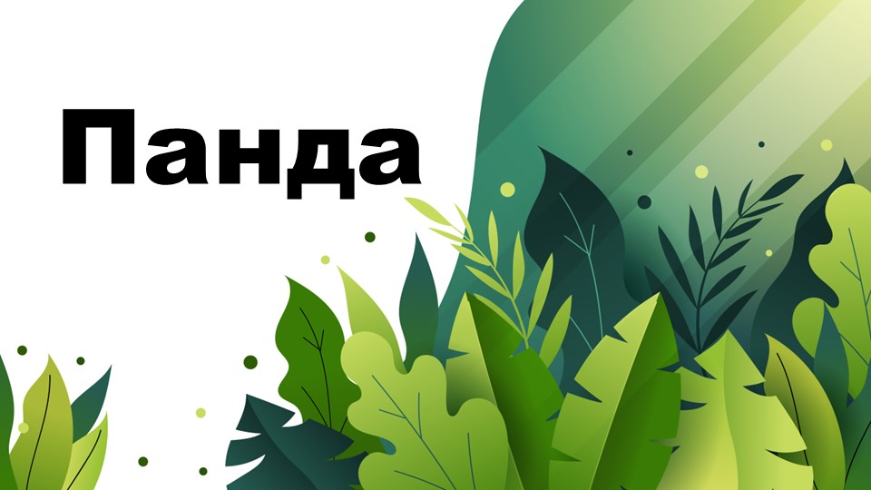 Презентация по биологии на тему "Панда" Учебники, Презентации и Подготовка к Экзаменам для Школьников на Klass-Uchebnik.com