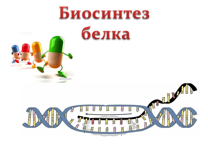 Презентация "Биосинтез белка" 9 класс - Учебники, Презентации и Подготовка к Экзаменам для Школьников на Klass-Uchebnik.com