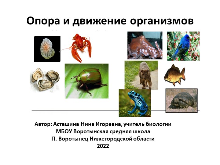 Презентация по биологии в 9 классе "опора и движение у организмов" Учебники, Презентации и Подготовка к Экзаменам для Школьников на Klass-Uchebnik.com