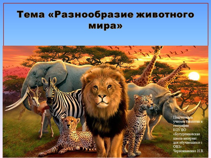 Презентация по природоведению на тему "Разнообразие животного мира" (6 класс). Учебники, Презентации и Подготовка к Экзаменам для Школьников на Klass-Uchebnik.com