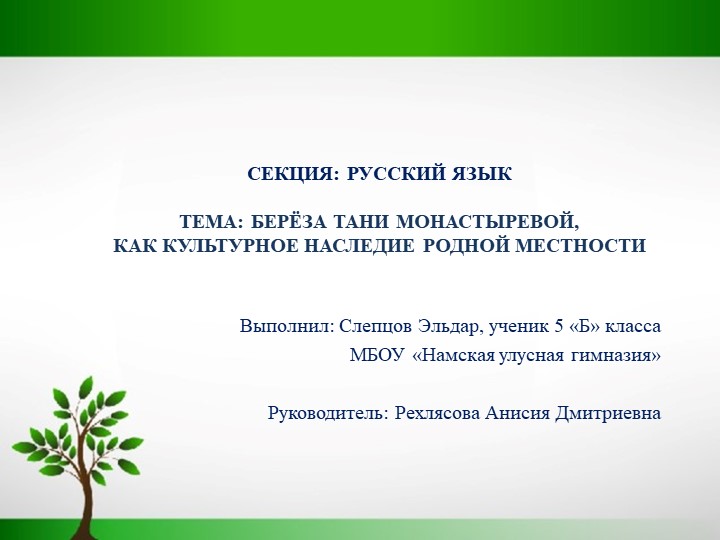 "Береза Тани Монастыревой" Презентация к докладу - Учебники, Презентации и Подготовка к Экзаменам для Школьников на Klass-Uchebnik.com