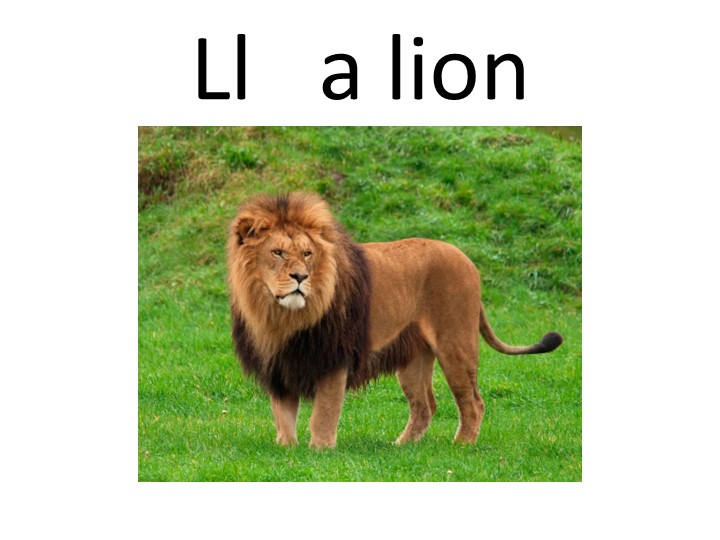 Презентация по английскому языку "Алфавит в картинках" Учебники, Презентации и Подготовка к Экзаменам для Школьников на Klass-Uchebnik.com