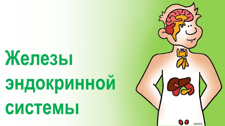 Презентация по биологии на тему "Железы эндокринной системы" (8класс) Учебники, Презентации и Подготовка к Экзаменам для Школьников на Klass-Uchebnik.com