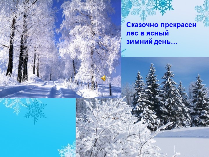 Открытое внеклассное мероприятие "Покормите птиц зимой !" Учебники, Презентации и Подготовка к Экзаменам для Школьников на Klass-Uchebnik.com