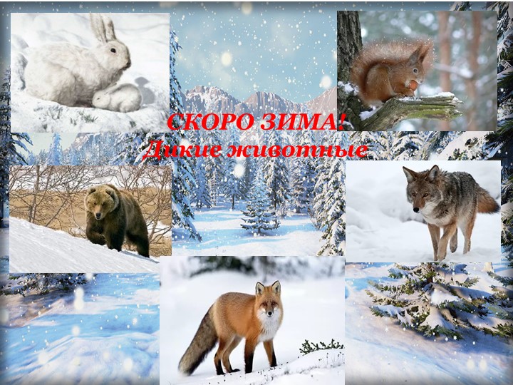 Скоро зима! Дикие животные - Учебники, Презентации и Подготовка к Экзаменам для Школьников на Klass-Uchebnik.com