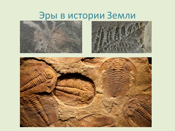 Презентация по биологии "Эры в истории Земли" 10 класс Учебники, Презентации и Подготовка к Экзаменам для Школьников на Klass-Uchebnik.com