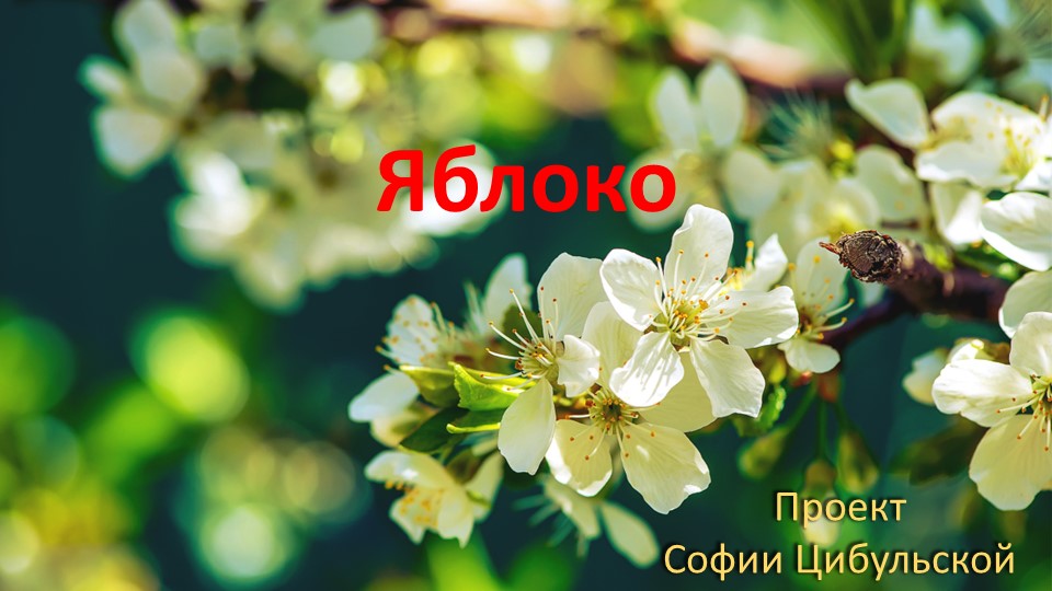 Проект по окружающему миру"Яблоко" - Учебники, Презентации и Подготовка к Экзаменам для Школьников на Klass-Uchebnik.com