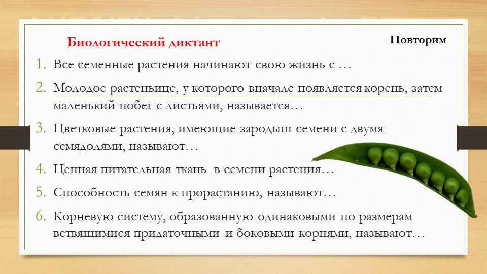 Презентация по биологии на тему "Побег, его строение, развитие" (7 класс) - Учебники, Презентации и Подготовка к Экзаменам для Школьников на Klass-Uchebnik.com