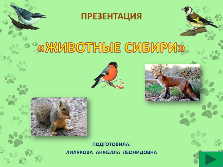 Презентация для дошкольников "Животные Сибири" Учебники, Презентации и Подготовка к Экзаменам для Школьников на Klass-Uchebnik.com