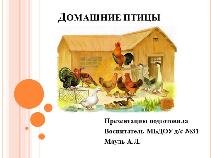 Презентация "Домашние птицы" подготовительная к школе кгруппа Учебники, Презентации и Подготовка к Экзаменам для Школьников на Klass-Uchebnik.com