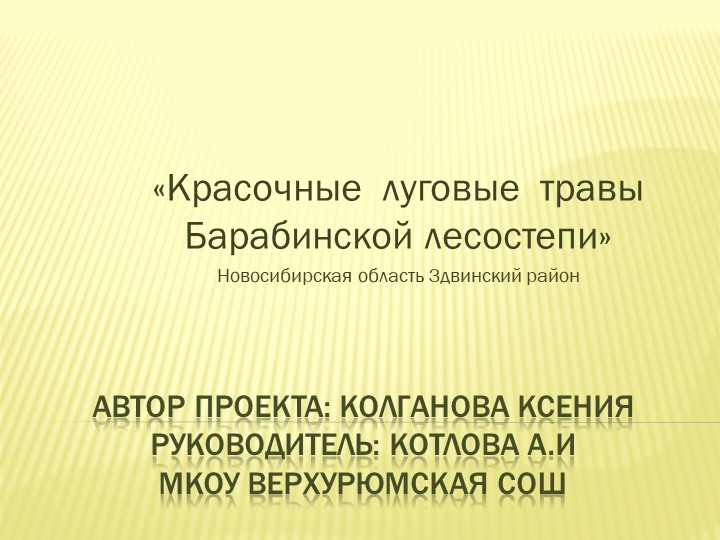 Презентация Экологический проект "Красочные луговые травы Барабинской лесостепи" - Учебники, Презентации и Подготовка к Экзаменам для Школьников на Klass-Uchebnik.com