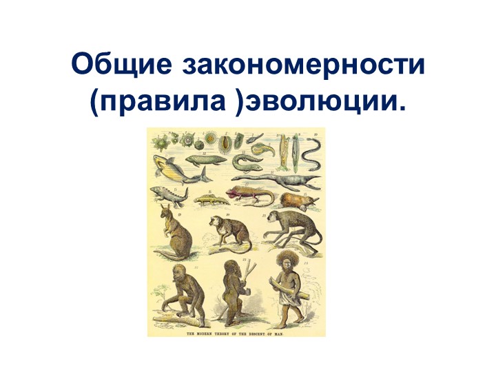 Презентация "Общие закономерности (правила) эволюции. - Учебники, Презентации и Подготовка к Экзаменам для Школьников на Klass-Uchebnik.com