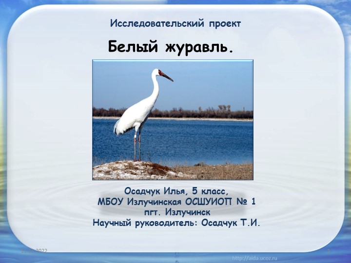 Исследовательская работа "Стерх - белый журавль" Учебники, Презентации и Подготовка к Экзаменам для Школьников на Klass-Uchebnik.com