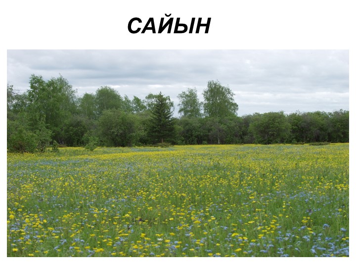 Презентация на уроке КНРСЯ Тема:Сайын Учебники, Презентации и Подготовка к Экзаменам для Школьников на Klass-Uchebnik.com