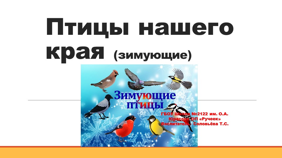 Презентация "Зимующие птицы" для ДОУ - Учебники, Презентации и Подготовка к Экзаменам для Школьников на Klass-Uchebnik.com