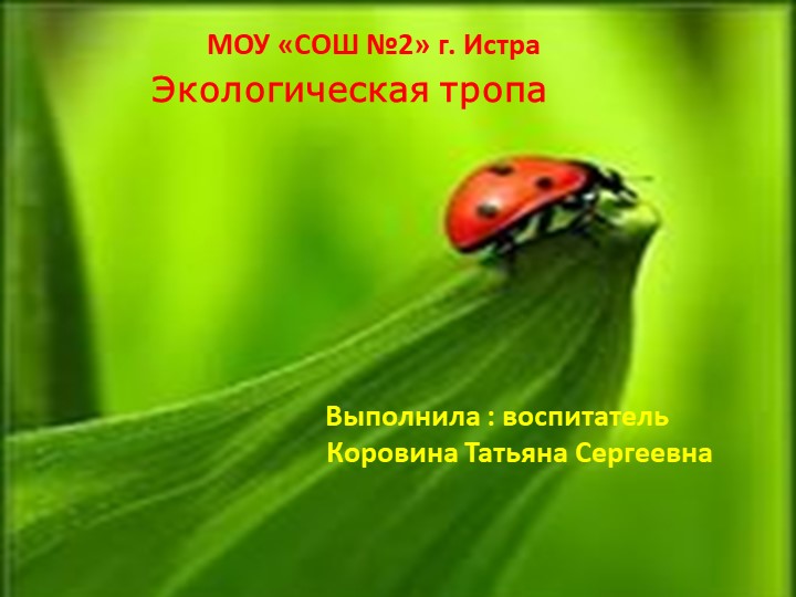 Экологическая тропа в ДОУ - Учебники, Презентации и Подготовка к Экзаменам для Школьников на Klass-Uchebnik.com