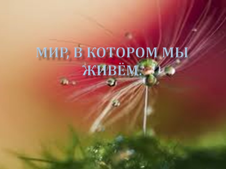 Презентация - викторина по биологии (9 класс) Учебники, Презентации и Подготовка к Экзаменам для Школьников на Klass-Uchebnik.com