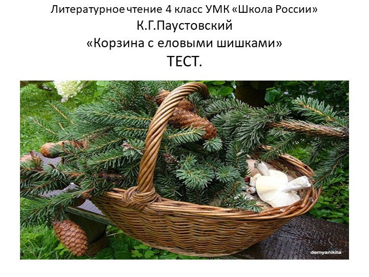 Презентация -Тест "Корзина с еловыми шишками"К.Г.Паустовский Учебники, Презентации и Подготовка к Экзаменам для Школьников на Klass-Uchebnik.com