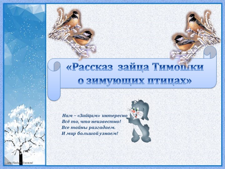 Обучающая презентация по теме "Зимующие птицы" - Учебники, Презентации и Подготовка к Экзаменам для Школьников на Klass-Uchebnik.com