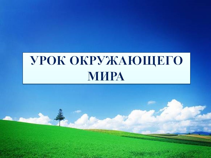 Презентация по теме "Живые организмы" - Учебники, Презентации и Подготовка к Экзаменам для Школьников на Klass-Uchebnik.com