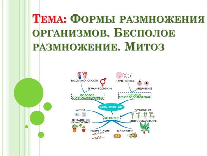 Презентация на тему "Формы размножения организмов. Бесполое размножение. Митоз" - Учебники, Презентации и Подготовка к Экзаменам для Школьников на Klass-Uchebnik.com