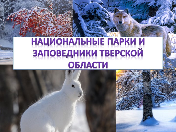 Презентация по биологии на тему "Национальные парки и заповедники Тверской области" " - Учебники, Презентации и Подготовка к Экзаменам для Школьников на Klass-Uchebnik.com