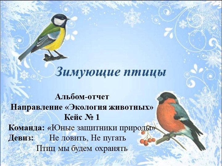 Презентация по окружающему миру Альбом-отчет "Зимующие птицы" - Учебники, Презентации и Подготовка к Экзаменам для Школьников на Klass-Uchebnik.com