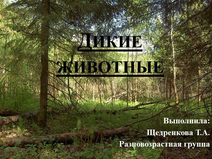 Презентация на тему " Дикие животные" Учебники, Презентации и Подготовка к Экзаменам для Школьников на Klass-Uchebnik.com