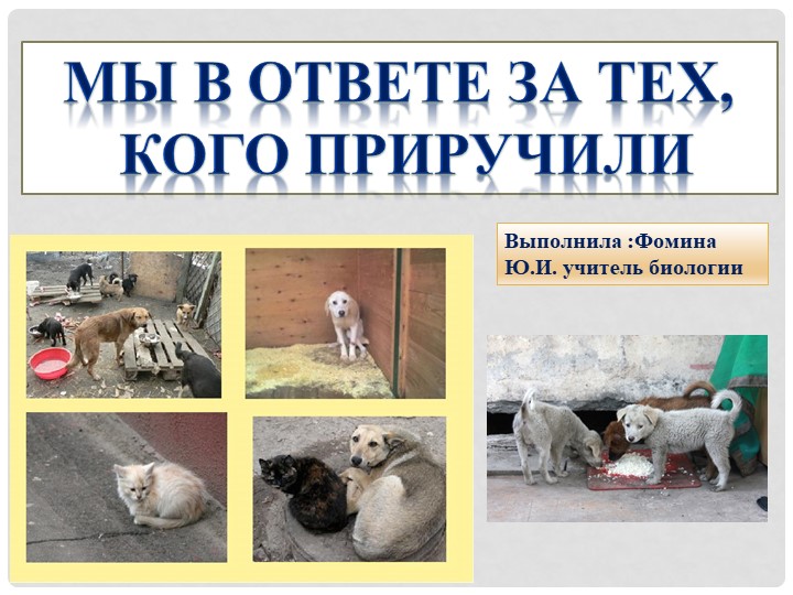 Презентация : Мы в ответе за тех , кого приручили". Учебники, Презентации и Подготовка к Экзаменам для Школьников на Klass-Uchebnik.com