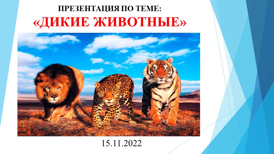 Презентация по теме: "Дикие животные". - Учебники, Презентации и Подготовка к Экзаменам для Школьников на Klass-Uchebnik.com