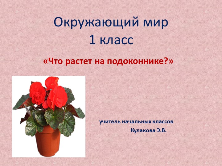 Презентация по окружающему миру на тему "Что растет на подоконнике?" - Учебники, Презентации и Подготовка к Экзаменам для Школьников на Klass-Uchebnik.com