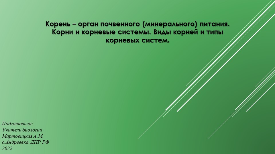 Презентация "Корень растений" 6 класс - Учебники, Презентации и Подготовка к Экзаменам для Школьников на Klass-Uchebnik.com