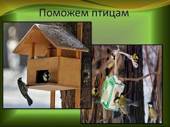 Презентация на тему:" Поможем птицам" - Учебники, Презентации и Подготовка к Экзаменам для Школьников на Klass-Uchebnik.com