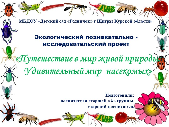 Экологический познавательно - исследовательский проект«Путешествие в мир живой природы: Удивительный мир насекомых» - Учебники, Презентации и Подготовка к Экзаменам для Школьников на Klass-Uchebnik.com
