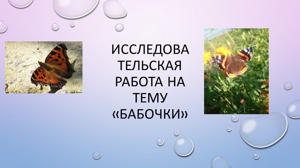 Презентация по биологии "Бабочка Адмирал" - Учебники, Презентации и Подготовка к Экзаменам для Школьников на Klass-Uchebnik.com