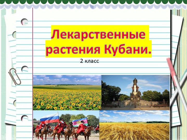 Презентация по кубановедению 2 класс Лекарственные растения. Правила сбора и использование лекарственных растений. - Учебники, Презентации и Подготовка к Экзаменам для Школьников на Klass-Uchebnik.com