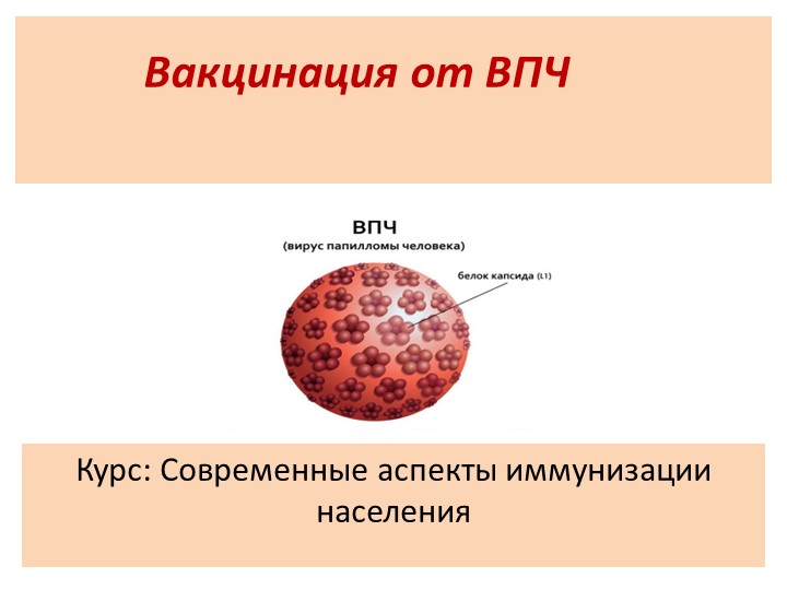Презентация по курсу "Современные аспекты иммунизации населения". Тема: Вирус папилломы человека. ВПЧ. Учебники, Презентации и Подготовка к Экзаменам для Школьников на Klass-Uchebnik.com