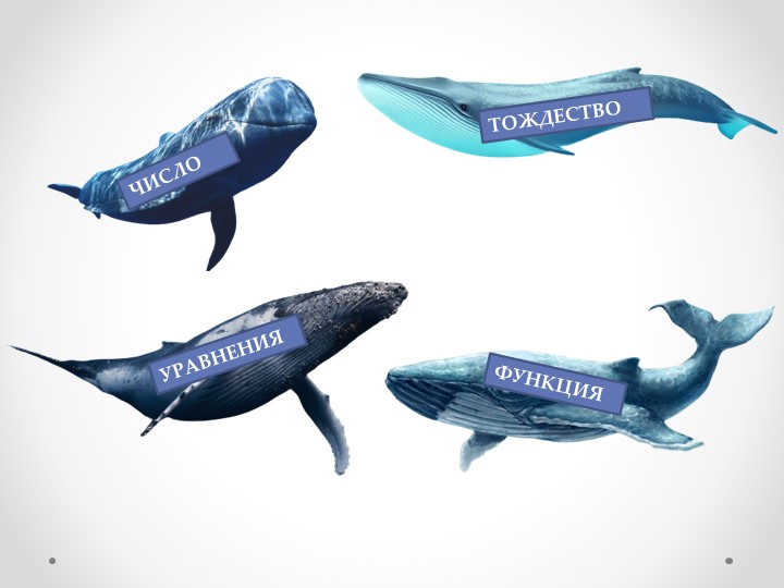 Презентация по алгебре на тему "Что такое функция" (7 класс) - Учебники, Презентации и Подготовка к Экзаменам для Школьников на Klass-Uchebnik.com