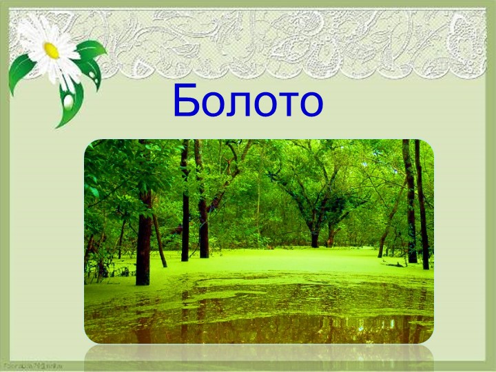 Презентация по окружающему миру "Болото" (3 класс) Учебники, Презентации и Подготовка к Экзаменам для Школьников на Klass-Uchebnik.com
