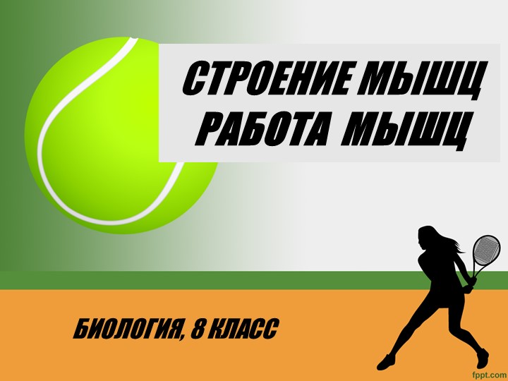 Презентация по биологии на тему "Мышцы человека. Работа мышц." Учебники, Презентации и Подготовка к Экзаменам для Школьников на Klass-Uchebnik.com