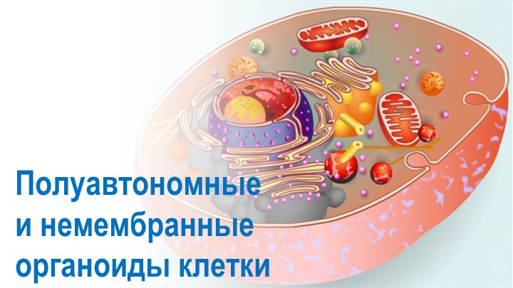 Презентация по биологии на тему "Полуавтономные и немембранные органоиды клетки" (10 класс) - Учебники, Презентации и Подготовка к Экзаменам для Школьников на Klass-Uchebnik.com
