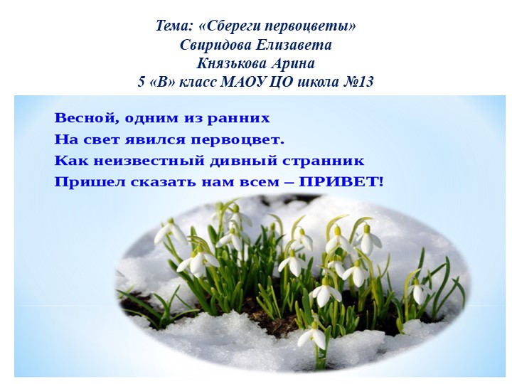 Презентация тема : "Сбереги первоцветы" Учебники, Презентации и Подготовка к Экзаменам для Школьников на Klass-Uchebnik.com