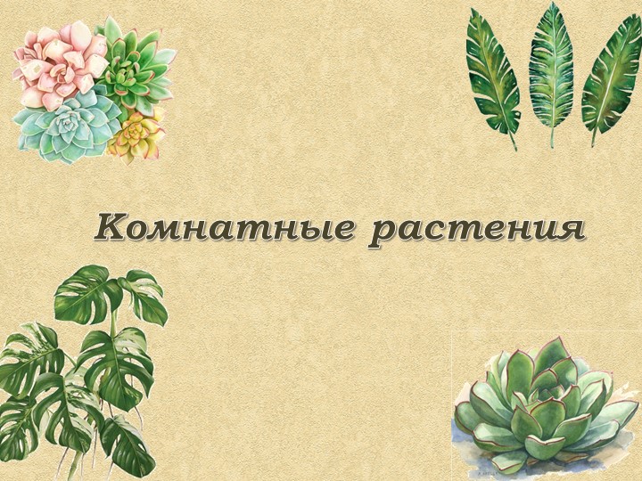 Презентация по теме "Комнатные растения" Учебники, Презентации и Подготовка к Экзаменам для Школьников на Klass-Uchebnik.com