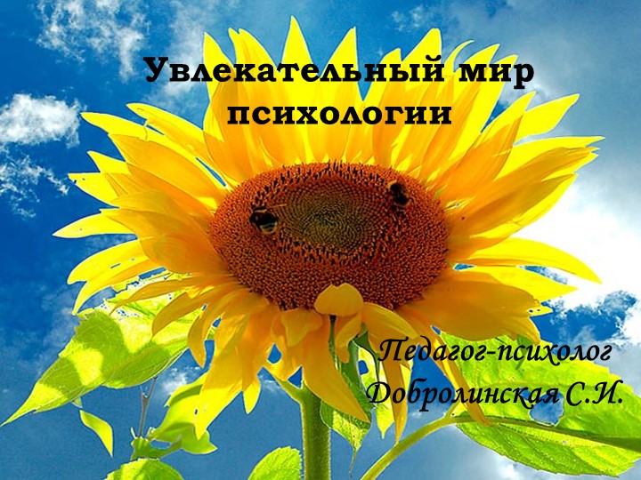 Презентация "Мир эмоций. Обида и прощение" - Учебники, Презентации и Подготовка к Экзаменам для Школьников на Klass-Uchebnik.com