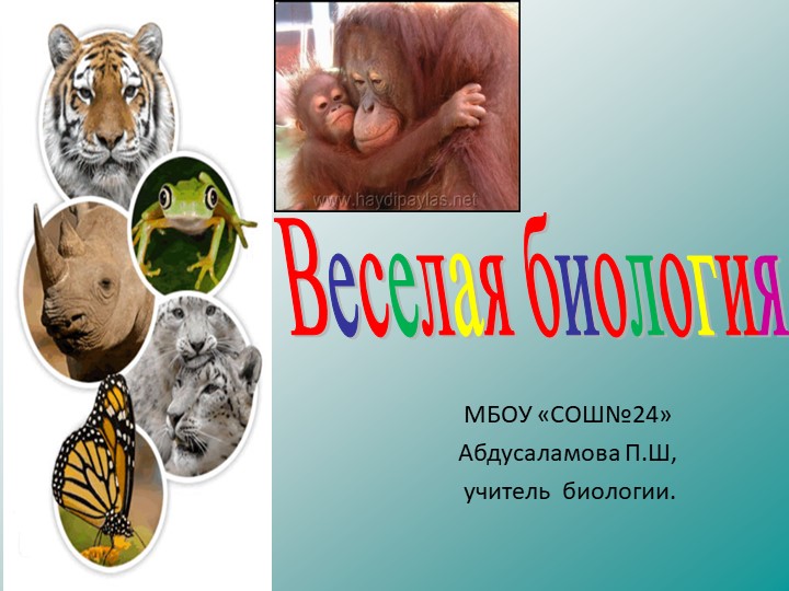 Презентация по биологии"Веселая биология" - Учебники, Презентации и Подготовка к Экзаменам для Школьников на Klass-Uchebnik.com