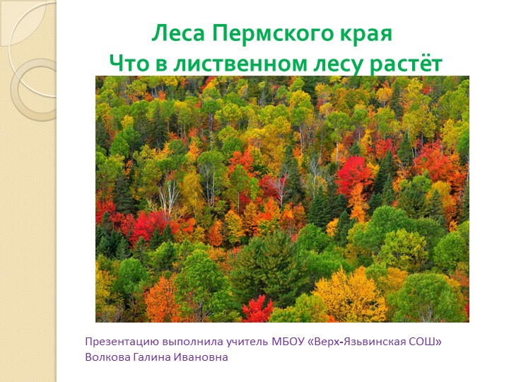 Презентация по внеурочной деятельности на тему "В лиственном лесу" Учебники, Презентации и Подготовка к Экзаменам для Школьников на Klass-Uchebnik.com